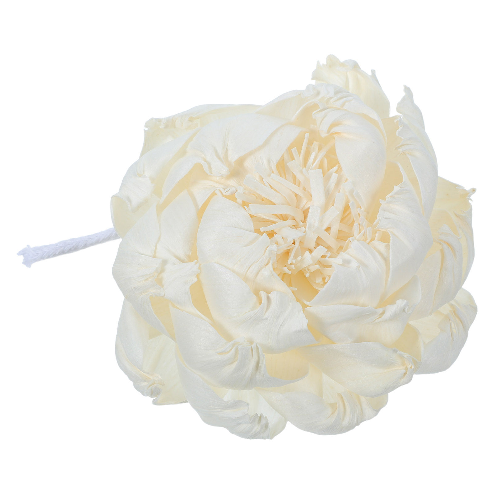 Diffuser Aroma Bunga Peony 12C - Home Fragrance Diffusers ulasan dan harga