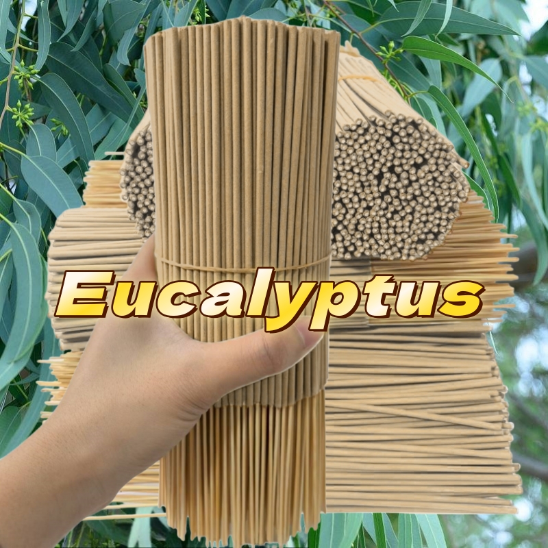 Aroma eucalyptus berkualitas t - Quality Home Fragrance ulasan dan harga