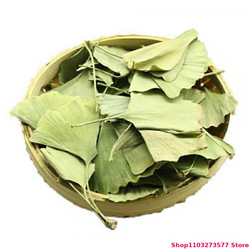 Daun Ginkgo Biloba Kering Berk - Quality Home Fragrance ulasan dan harga