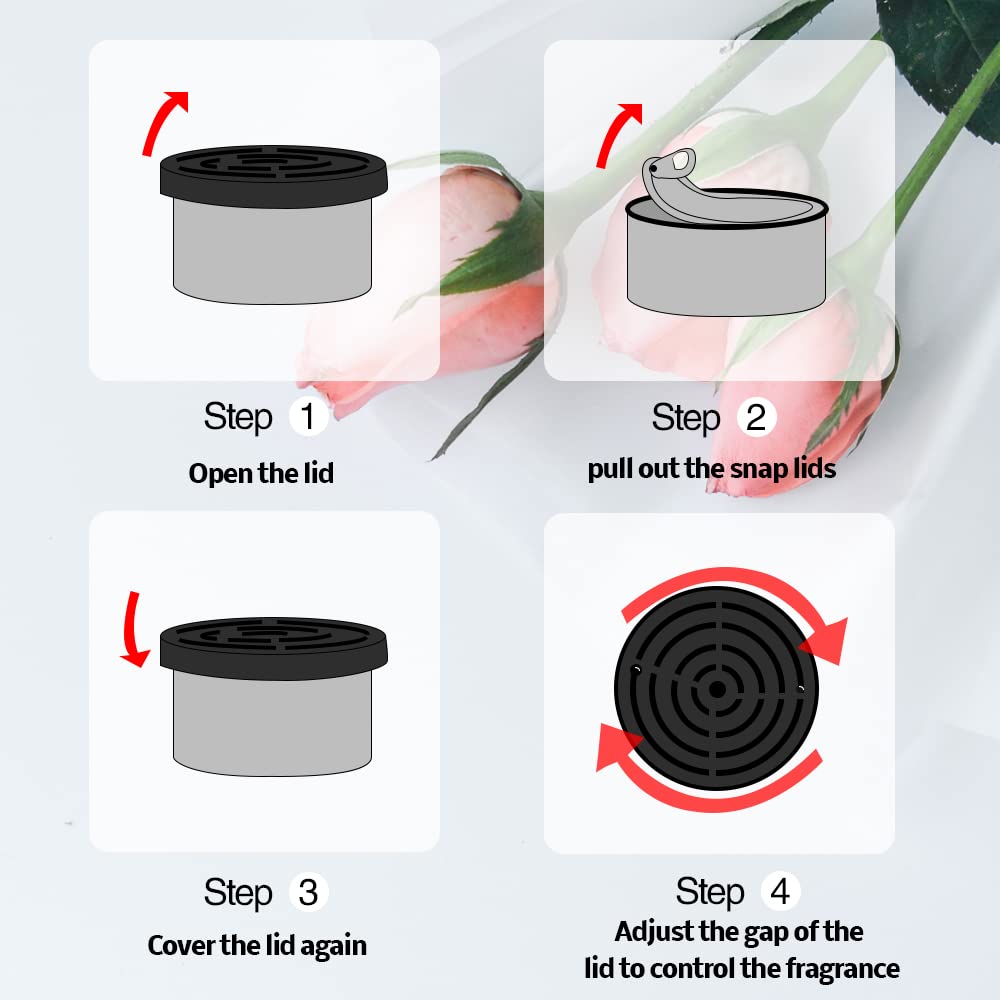 Penyegar udara mobil: aroma ke - Home Fragrance Elements ulasan dan harga